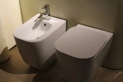 Bidet-Installation--in-Dawson-Texas-bidet-installation-dawson-texas.jpg-image
