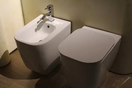Bidet-Installation--in-Georgetown-Texas-bidet-installation-georgetown-texas.jpg-image