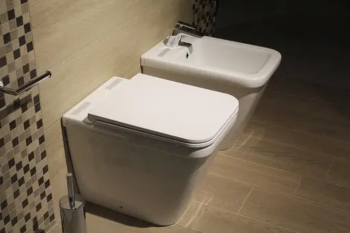 Bidet-Repair--in-Wickett-Texas-bidet-repair-wickett-texas.jpg-image